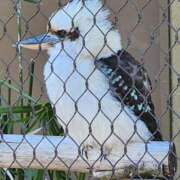 ヒメ日記 2025/01/26 11:58 投稿 ゆの 池袋風俗　池袋いきなりビンビン伝説