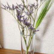 ヒメ日記 2025/02/07 11:53 投稿 ゆの 池袋風俗　池袋いきなりビンビン伝説