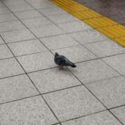 ヒメ日記 2025/02/21 10:44 投稿 ゆの 池袋風俗　池袋いきなりビンビン伝説