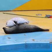 ヒメ日記 2025/03/16 15:58 投稿 ゆの 池袋風俗　池袋いきなりビンビン伝説