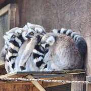 ヒメ日記 2025/03/18 11:10 投稿 ゆの 池袋風俗　池袋いきなりビンビン伝説