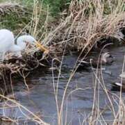 ヒメ日記 2025/03/29 10:53 投稿 ゆの 池袋風俗　池袋いきなりビンビン伝説