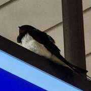 ヒメ日記 2025/04/03 11:04 投稿 ゆの 池袋風俗　池袋いきなりビンビン伝説