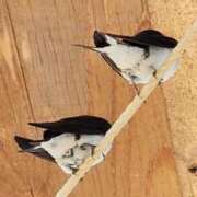 ヒメ日記 2025/04/22 11:03 投稿 ゆの 池袋風俗　池袋いきなりビンビン伝説