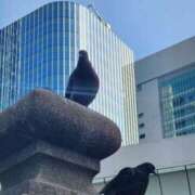 ヒメ日記 2025/05/03 16:40 投稿 ゆの 池袋風俗　池袋いきなりビンビン伝説