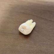 ヒメ日記 2025/05/06 22:41 投稿 ゆの 池袋風俗　池袋いきなりビンビン伝説