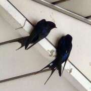 ヒメ日記 2025/05/12 10:41 投稿 ゆの 池袋風俗　池袋いきなりビンビン伝説