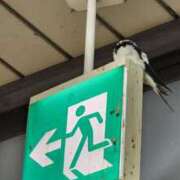 ヒメ日記 2025/05/13 11:06 投稿 ゆの 池袋風俗　池袋いきなりビンビン伝説