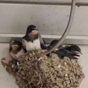 ヒメ日記 2025/05/21 10:59 投稿 ゆの 池袋風俗　池袋いきなりビンビン伝説