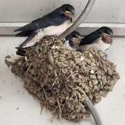 ヒメ日記 2025/05/23 10:59 投稿 ゆの 池袋風俗　池袋いきなりビンビン伝説