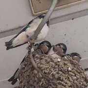 ヒメ日記 2025/05/24 11:09 投稿 ゆの 池袋風俗　池袋いきなりビンビン伝説