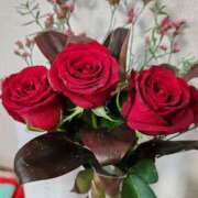 ヒメ日記 2025/06/10 11:57 投稿 ゆの 池袋風俗　池袋いきなりビンビン伝説