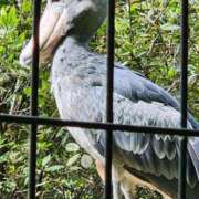 ヒメ日記 2025/06/16 23:21 投稿 ゆの 池袋風俗　池袋いきなりビンビン伝説