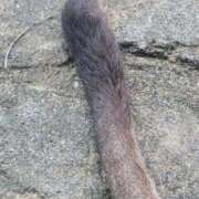 ヒメ日記 2025/06/17 10:47 投稿 ゆの 池袋風俗　池袋いきなりビンビン伝説