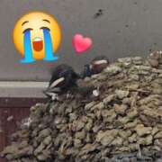 ヒメ日記 2025/06/19 10:52 投稿 ゆの 池袋風俗　池袋いきなりビンビン伝説