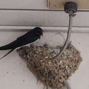 ヒメ日記 2025/06/20 10:54 投稿 ゆの 池袋風俗　池袋いきなりビンビン伝説