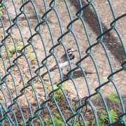 ヒメ日記 2025/08/09 11:58 投稿 ゆの 池袋風俗　池袋いきなりビンビン伝説