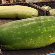 ヒメ日記 2025/09/04 11:47 投稿 ゆの 池袋風俗　池袋いきなりビンビン伝説