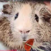 ヒメ日記 2025/09/10 10:55 投稿 ゆの 池袋風俗　池袋いきなりビンビン伝説