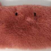 ヒメ日記 2025/09/18 11:06 投稿 ゆの 池袋風俗　池袋いきなりビンビン伝説