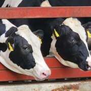 ヒメ日記 2025/11/05 11:06 投稿 ゆの 池袋風俗　池袋いきなりビンビン伝説