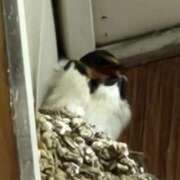 ゆの ひさび〜さ日記📸📸📸 池袋風俗　池袋いきなりビンビン伝説