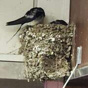 ヒメ日記 2026/04/18 10:35 投稿 ゆの 池袋風俗　池袋いきなりビンビン伝説