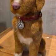 ゆの ふわふわ名俳優日記🎬🐕💨 池袋風俗　池袋いきなりビンビン伝説