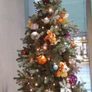 ヒメ日記 2024/12/20 17:08 投稿 真理 上野人妻城