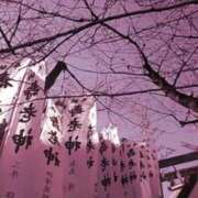 ヒメ日記 2025/01/06 15:56 投稿 真理 上野人妻城