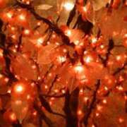 ヒメ日記 2025/02/03 14:41 投稿 真理 上野人妻城