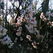 ヒメ日記 2025/02/11 16:37 投稿 真理 上野人妻城