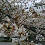 ヒメ日記 2025/04/02 14:57 投稿 真理 上野人妻城