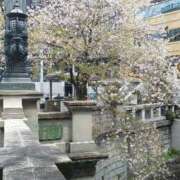 ヒメ日記 2025/04/11 11:45 投稿 真理 上野人妻城