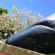 ヒメ日記 2025/04/15 13:07 投稿 真理 上野人妻城