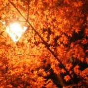 ヒメ日記 2025/04/16 12:05 投稿 真理 上野人妻城