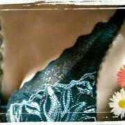 ヒメ日記 2025/07/18 11:30 投稿 真理 上野人妻城