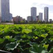 ヒメ日記 2025/07/23 10:47 投稿 真理 上野人妻城