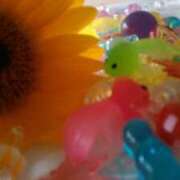 ヒメ日記 2025/08/01 10:43 投稿 真理 上野人妻城