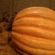 ヒメ日記 2025/10/31 11:46 投稿 真理 上野人妻城