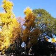 真理 season 上野人妻城