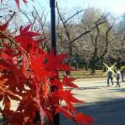 ヒメ日記 2025/12/15 19:03 投稿 真理 上野人妻城