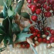 ヒメ日記 2026/02/01 10:27 投稿 真理 上野人妻城