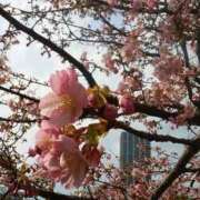 ヒメ日記 2026/02/16 13:10 投稿 真理 上野人妻城