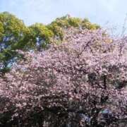 ヒメ日記 2026/02/27 12:36 投稿 真理 上野人妻城