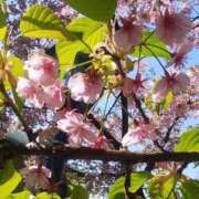 ヒメ日記 2026/03/01 12:48 投稿 真理 上野人妻城