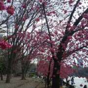 ヒメ日記 2026/03/06 22:36 投稿 真理 上野人妻城