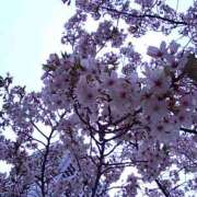 ヒメ日記 2026/04/10 10:58 投稿 真理 上野人妻城