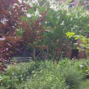 ヒメ日記 2026/09/04 13:12 投稿 真理 上野人妻城
