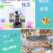 ヒメ日記 2024/12/20 15:29 投稿 白川 誘惑マル秘ミセス